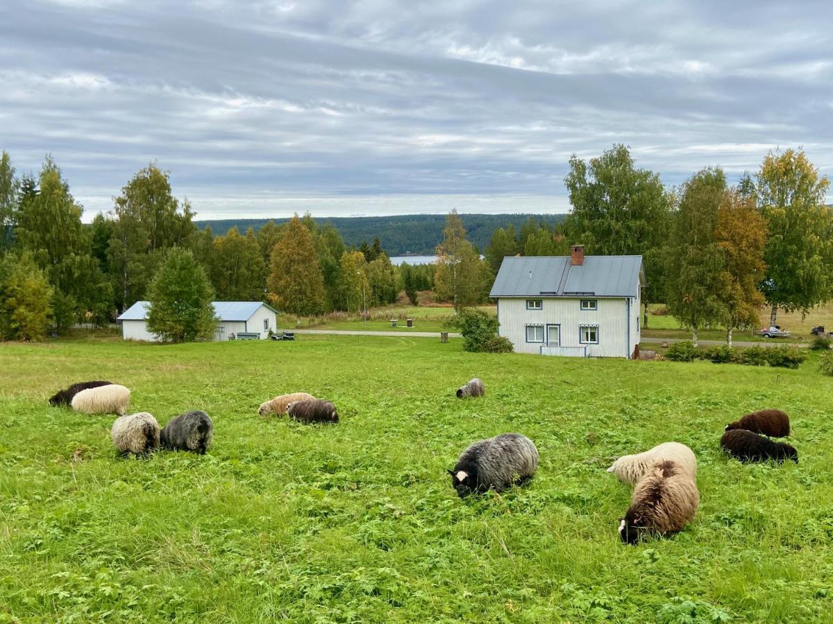 Vildmarksgard Lillviken Stromsund Bagian luar foto
