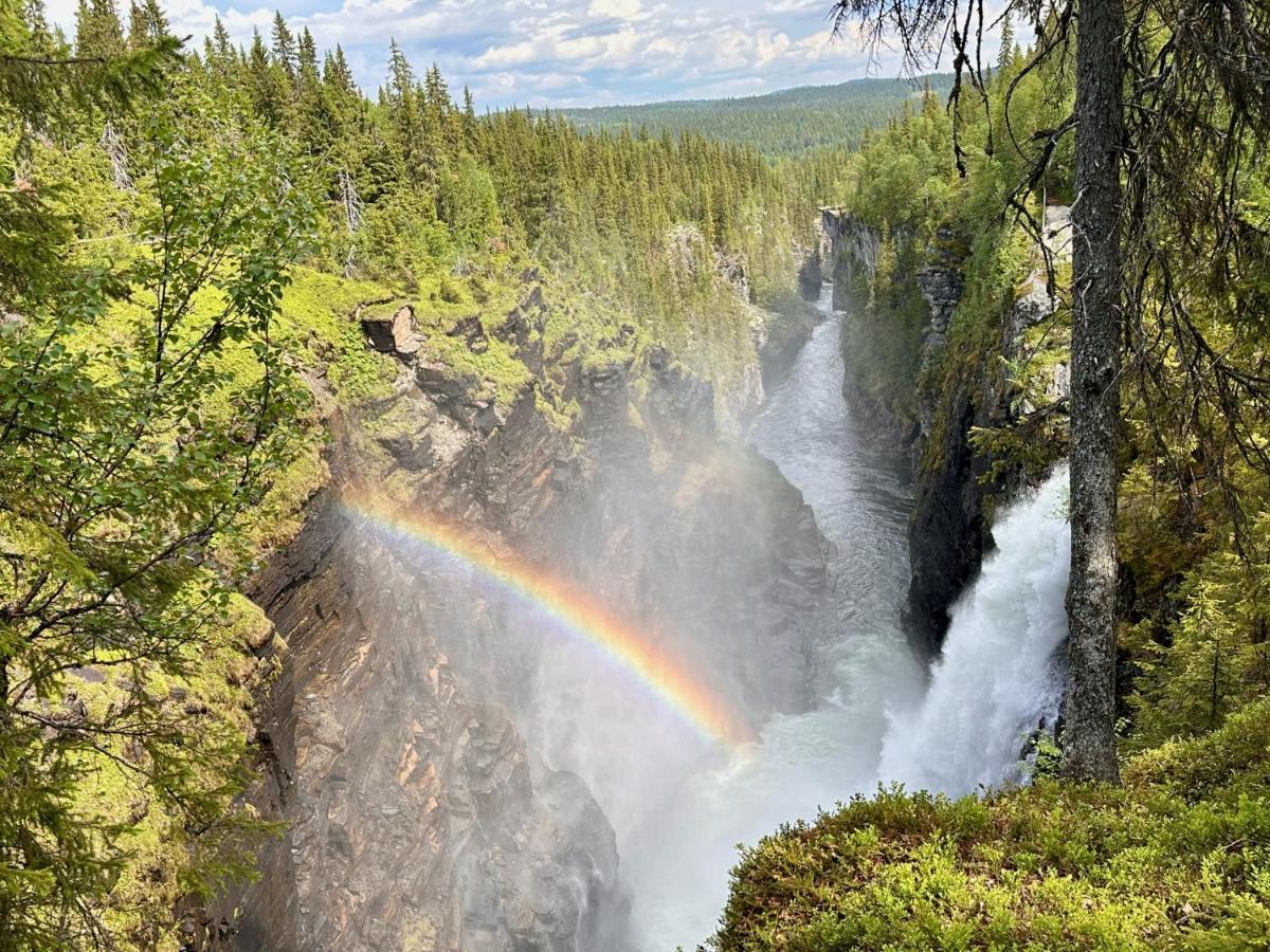 Vildmarksgard Lillviken Stromsund Bagian luar foto