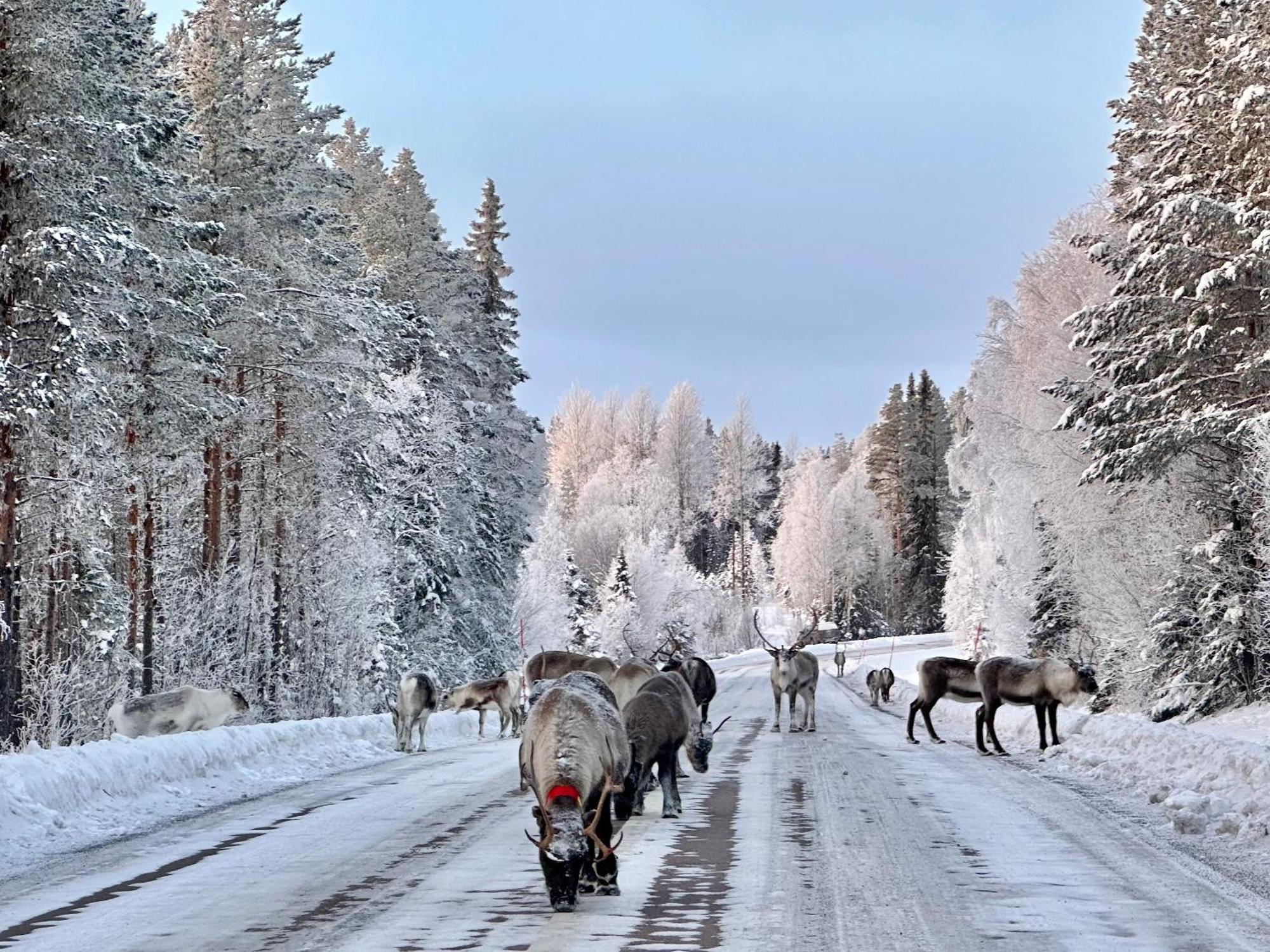 Vildmarksgard Lillviken Stromsund Bagian luar foto
