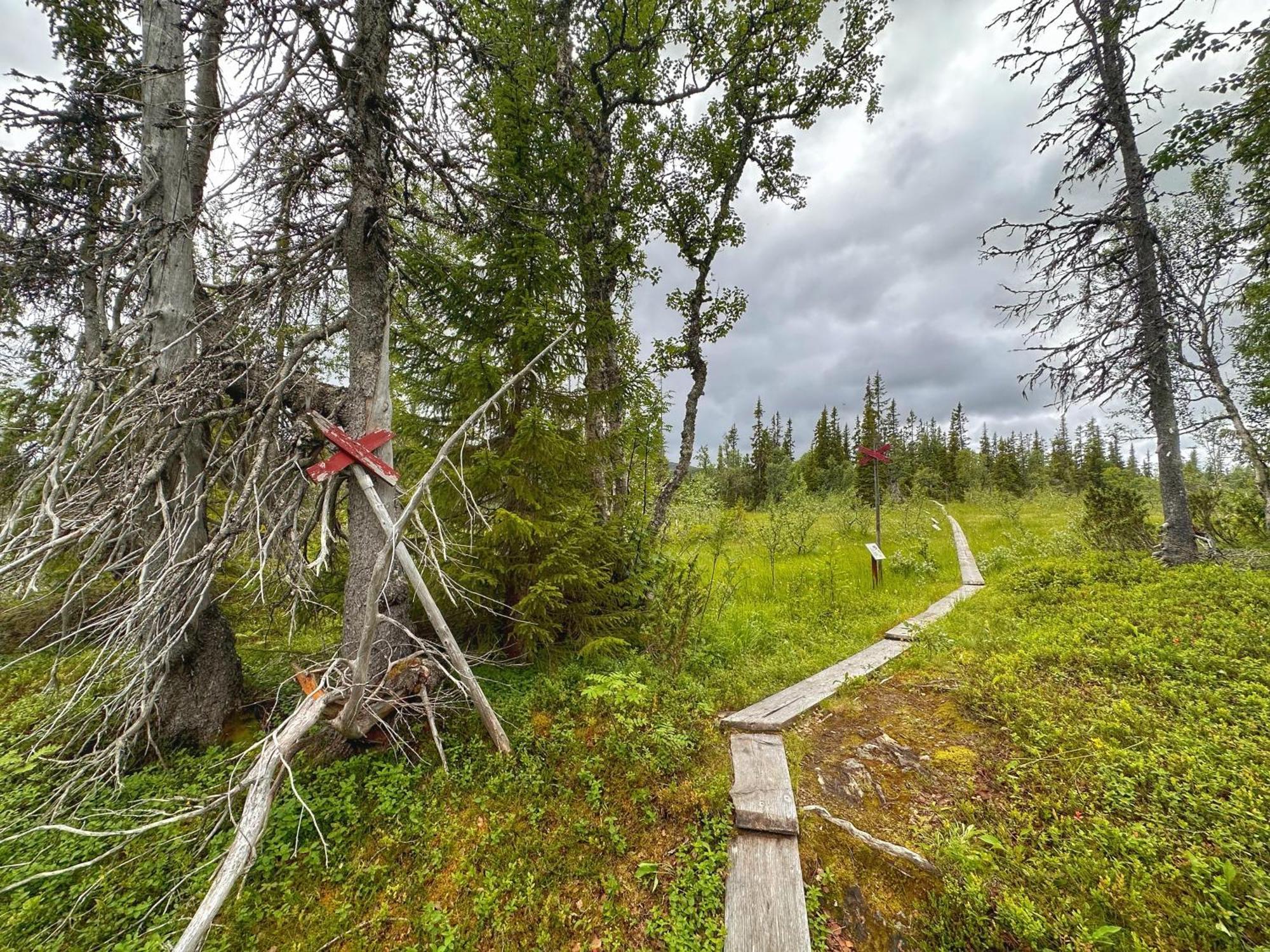 Vildmarksgard Lillviken Stromsund Bagian luar foto