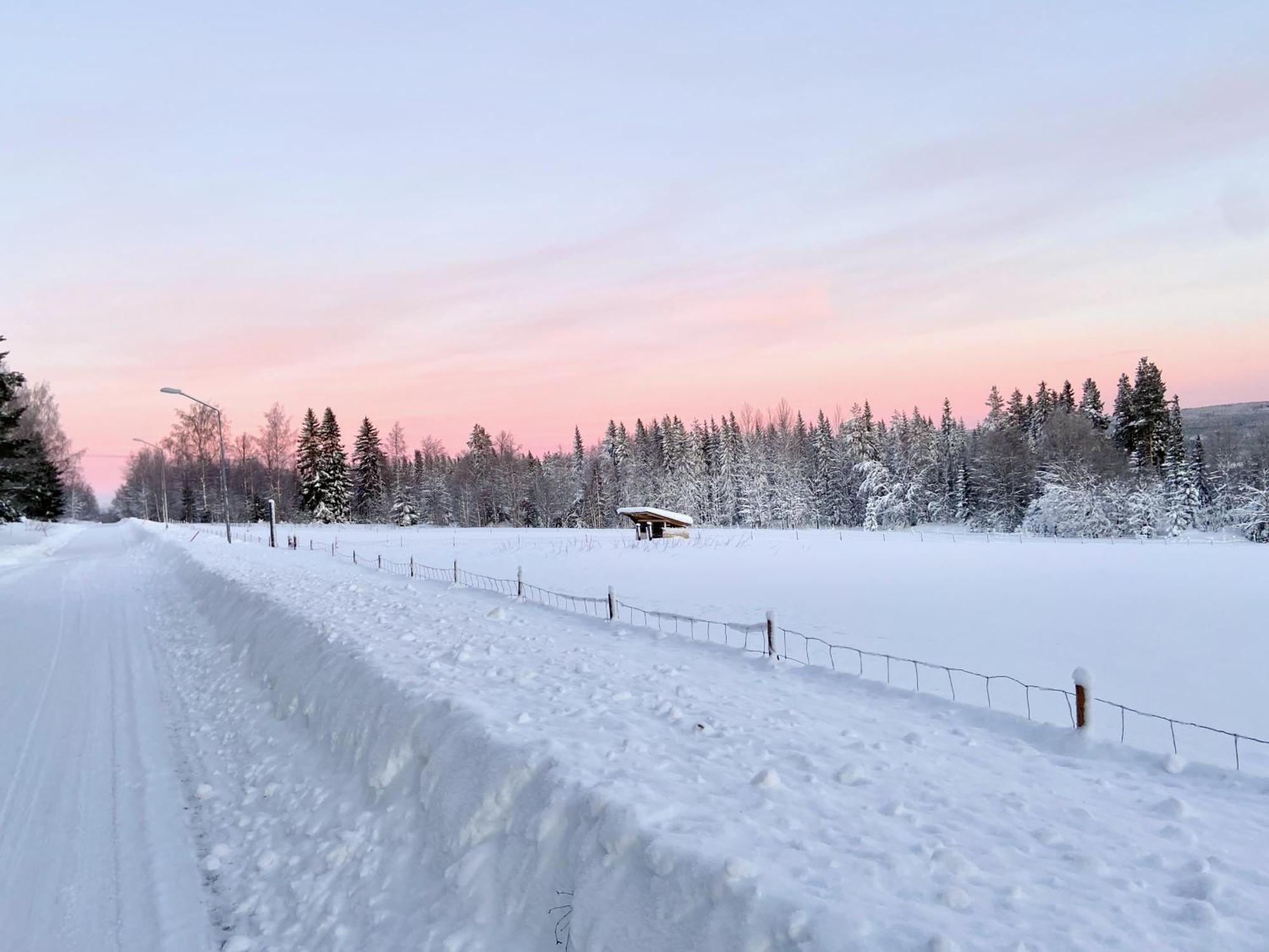 Vildmarksgard Lillviken Stromsund Bagian luar foto