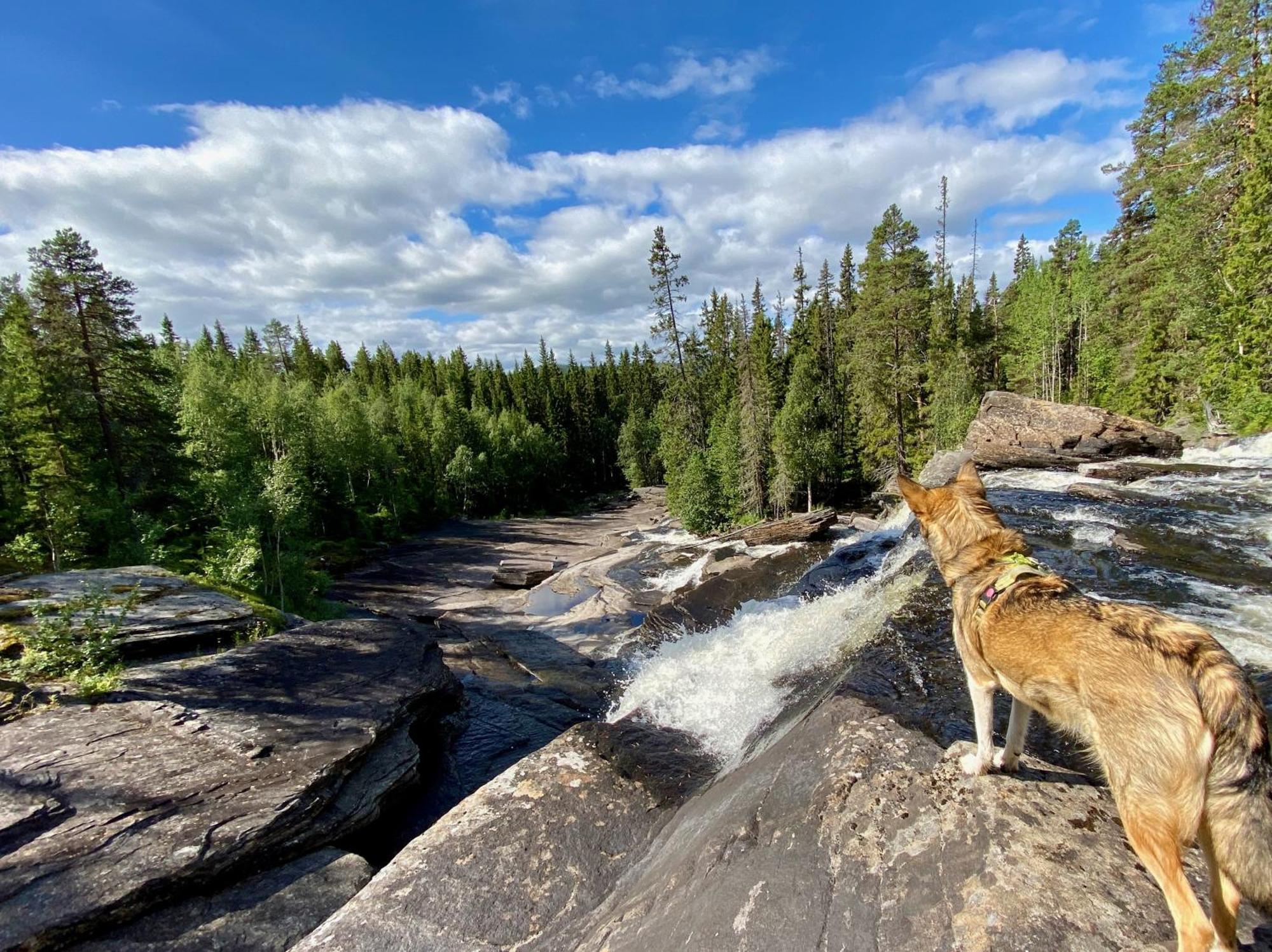 Vildmarksgard Lillviken Stromsund Bagian luar foto