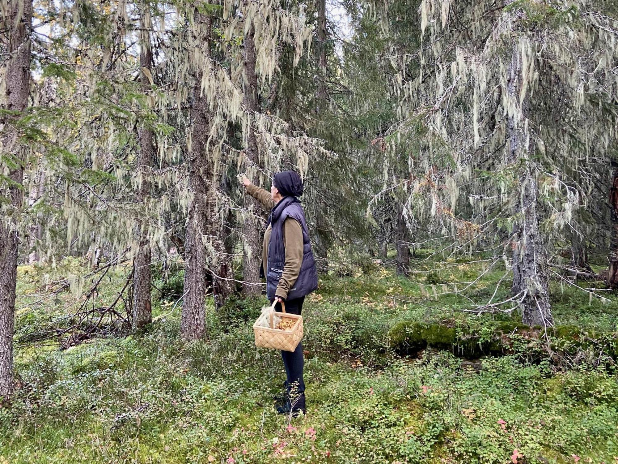 Vildmarksgard Lillviken Stromsund Bagian luar foto